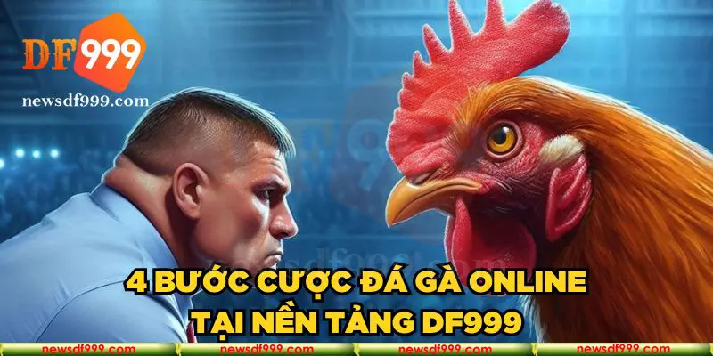 4 bước cược đá gà online tại nền tảng DF999