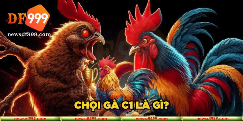 Chọi gà C1 là gì