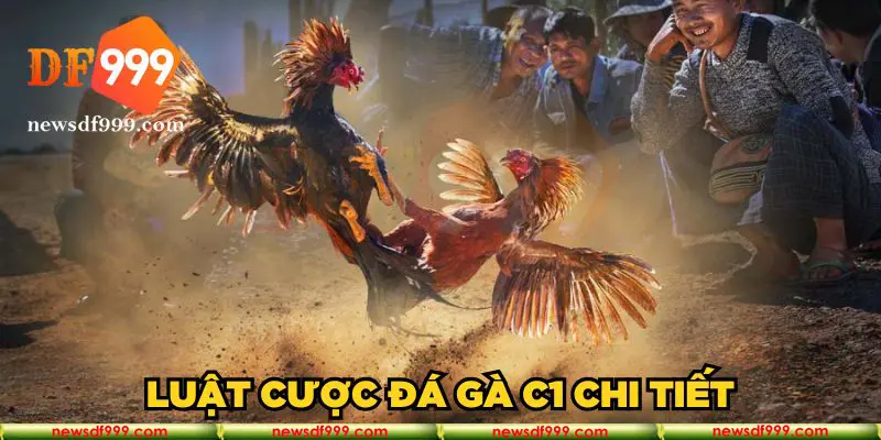 Luật cược đá gà C1 chi tiết